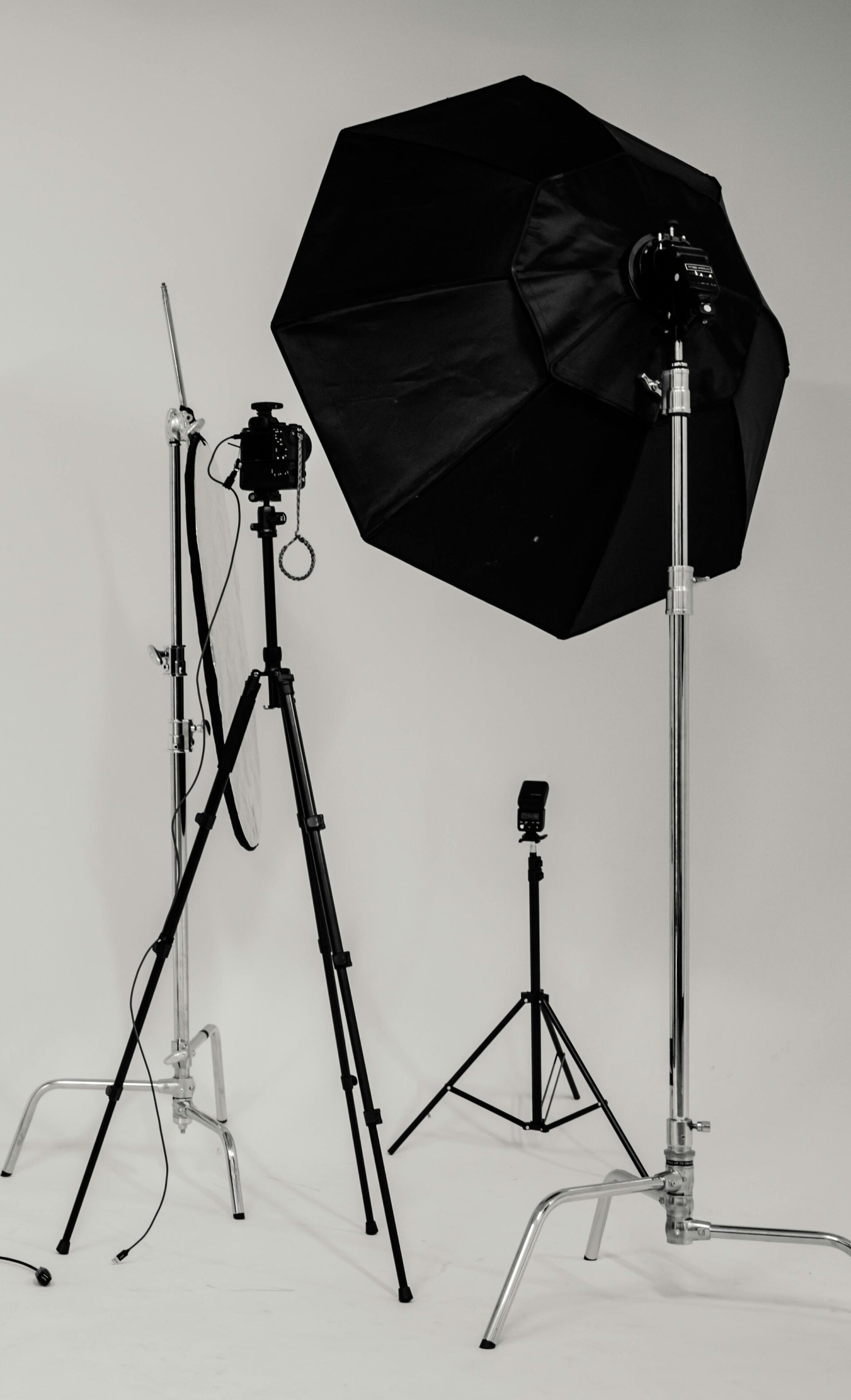 pexels-brett-sayles-2388569